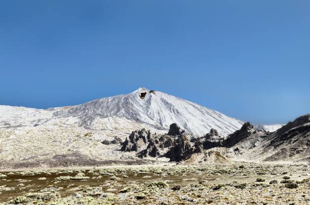 scena del parco nazionale di el teide - tenerife spain national park may foto e immagini stock