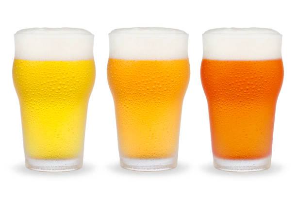 istock Set of beer glasses isolated on a white background. 1313933298