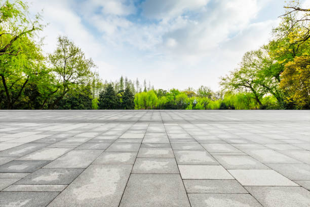 istock Wide floor and green trees in natural park. 1313934759