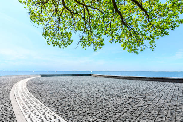 piso vazio e árvore verde com paisagem do lago. - beach park - fotografias e filmes do acervo