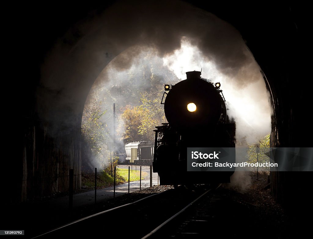 Steam locomotive betritt tunnel - Lizenzfrei Bahntunnel Stock-Foto