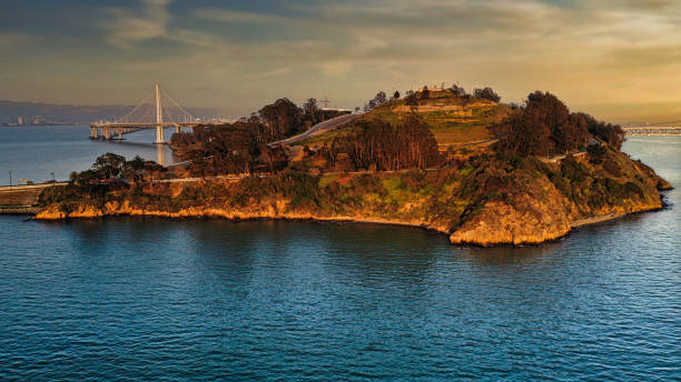 istock Treasure Island San Francisco 1313941099