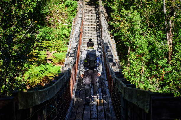 Portrait of a man trekking in the park