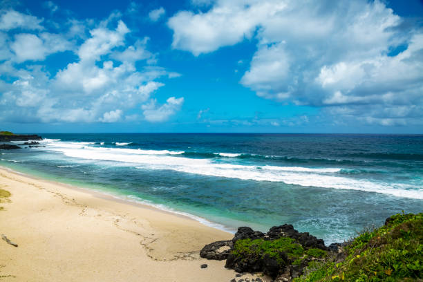istock Public beach of Gris Gris. 1313947035