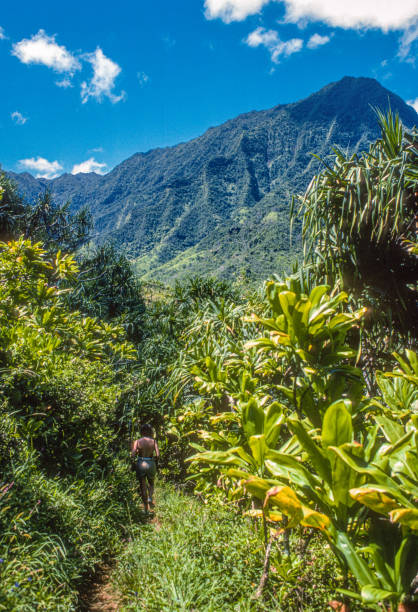 istock Na Pali Coast State Park - Hiking Trail Beneath Mountain - 1984 1313949184