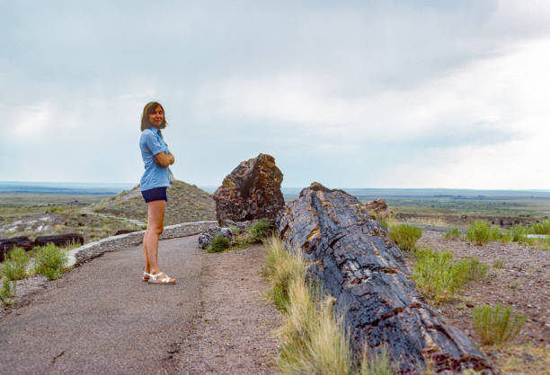 istock Petrified Forest National Park - Pausing on the Trail - 1978 1313949814