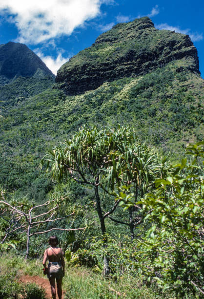 Kauai NaPali Coast - Entering a Clearing - 1984