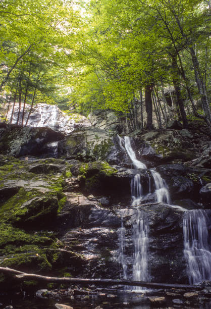 istock Shenandoah National Park - Dark Hollow Falls - Lower Falls Right Side - 1977 1313949885
