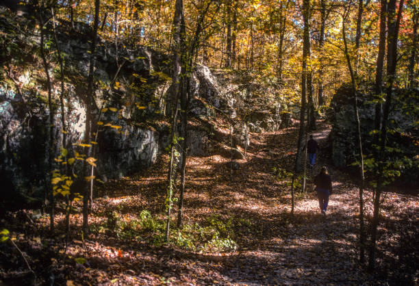 istock Giant City State Park - Hiking Through Forest - 2002 1313949949