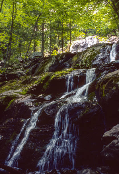 istock Shenandoah National Park - Dark Hollow Falls - Lower Falls - 1977 1313949999