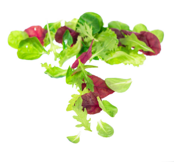 istock Fresh green leaves lettuce salad isolated on white background 1313950851