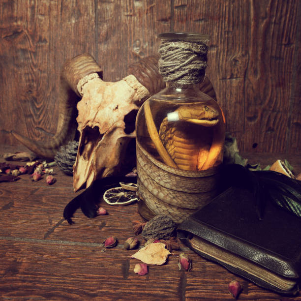 istock Vintage witchcraft still life with snake cobra and skull. 1313951987
