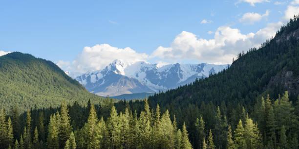 istock summer mountain landscape with snowy peak. 1313954897