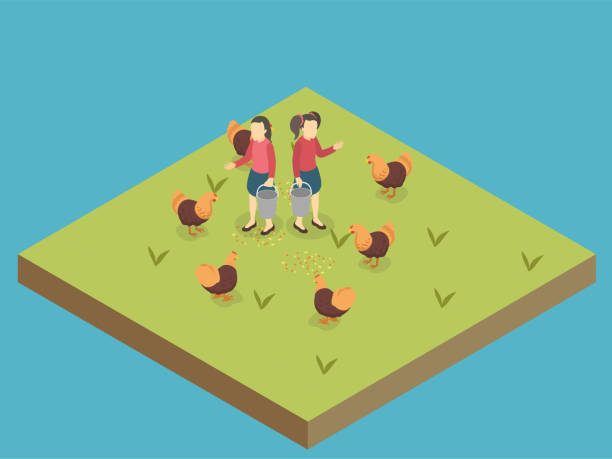 Isometric Chicken 2,800+ Isometric Chicken Stock Photos, Pictures & Royalty-Free Images ...