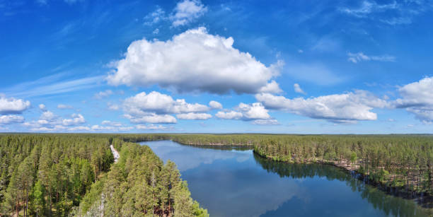 istock lake in evergreen forest under large cloud 1313955503