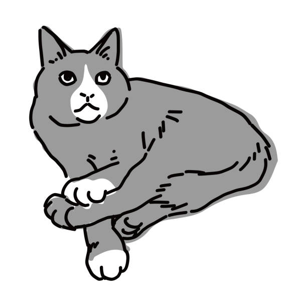 drawing art product of a cat Cute and simple full body illustration of a cat. 背中 stock illustrations