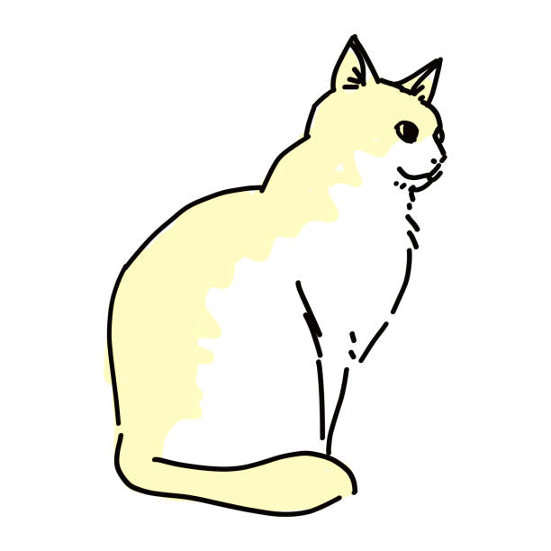 drawing art product of a cat Cute and simple full body illustration of a cat. 背中 stock illustrations