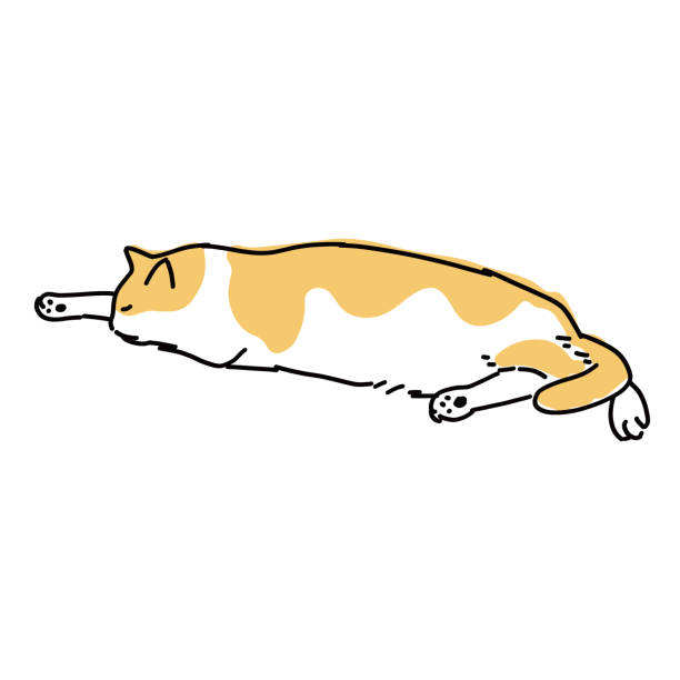 drawing art product of a cat Cute and simple full body illustration of a cat. 背中 stock illustrations