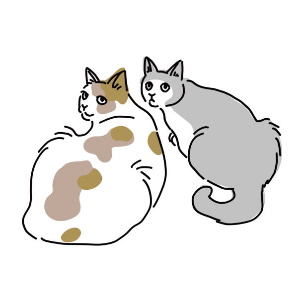 drawing art product of a cat Cute and simple full body illustration of a cat. 運動する stock illustrations