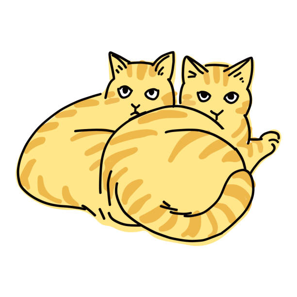 drawing art product of a cat Cute and simple full body illustration of a cat. 運動する stock illustrations