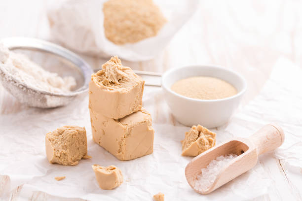 fresh and dried yeast with baking ingredients - yeast imagens e fotografias de stock