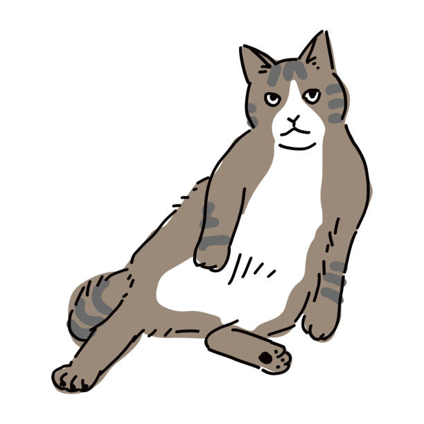 drawing art product of a cat Cute and simple full body illustration of a cat. 物の形 stock illustrations