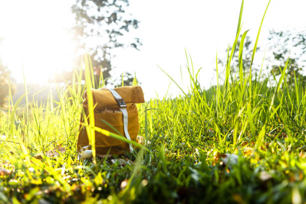 istock Summer vacation Yellow bag in summer meadow 1313958256