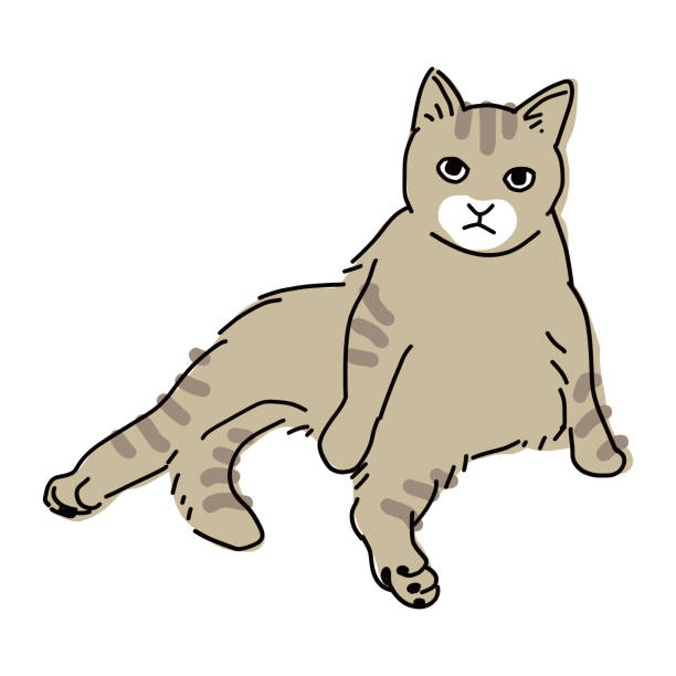 drawing art product of a cat Cute and simple full body illustration of a cat. 背中 stock illustrations