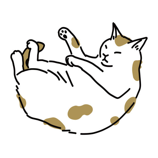 drawing art product of a cat Cute and simple full body illustration of a cat. 物の形 stock illustrations