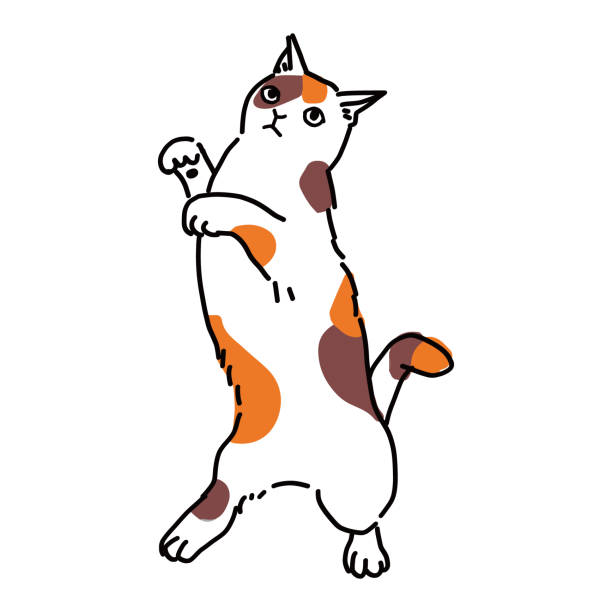 drawing art product of a cat Cute and simple full body illustration of a cat. 運動する stock illustrations