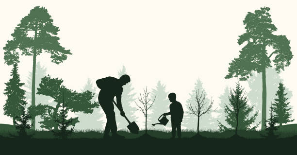 aufforstung, pflanzen von bäumen im wald. mensch und kind pflanzen kahle bäume und tannen, silhouette. vektor-illustration - wiederaufforstung stock-grafiken, -clipart, -cartoons und -symbole