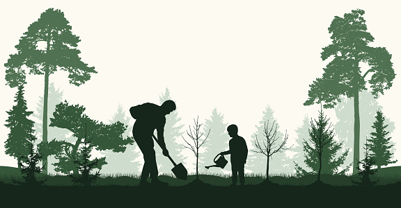 Reforestation, planting trees in forest. Man and child plant bare tree and fir trees, silhouette. Vector illustration