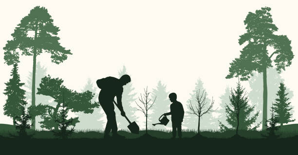 Reforestation, planting trees in forest. Man and child plant bare tree and fir trees, silhouette. Vector illustration Reforestation, planting trees in forest. Man and child plant bare tree and fir trees, silhouette. Vector illustration growth silhouettes stock illustrations