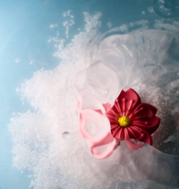 istock Vibrant pink cherry blossom decoration splashing in water 1313963700