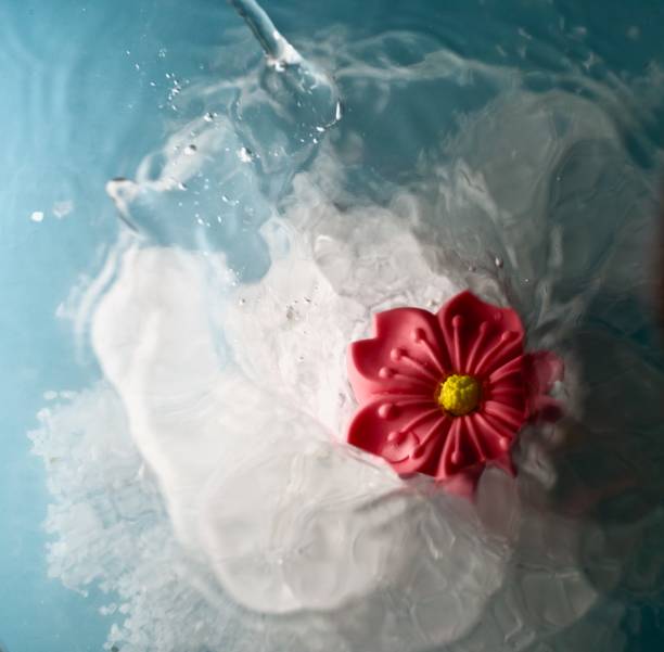 istock Vibrant pink cherry blossom decoration splashing in water 1313963716