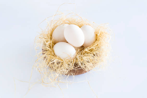 干し草の巣の中の白いアヒルの卵 - duck animal egg isolated bird ストックフォトと画像