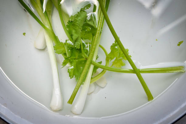 istock Fresh green coriander for good health 1313970618