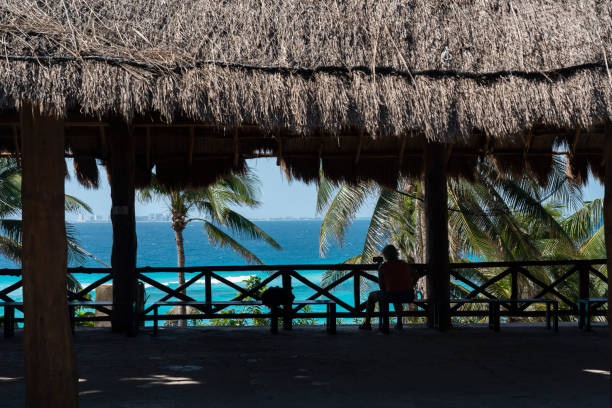 아름다운 섬 이슬라 무제레스, 멕시코에 가라폰 리프 파크 비치 클럽. 워터 파크 입구. - isla mujeres mexico beach color image 뉴스 사진 이미지
