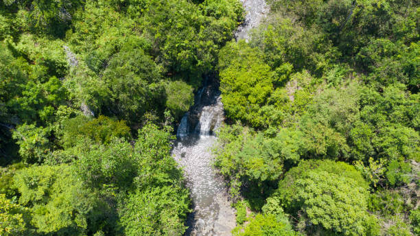 beautiful aerial view waterfall in ranau, sabah borneo, malaysia.photo capture by drone. - stream forest river waterfall imagens e fotografias de stock