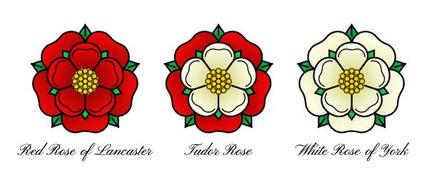 Tudoe rose of Englnd vector illustration. Tudor rose vector isolated icon. Traditional heraldic emblem of England. The war of roses of houses Lancaster and York. lancaster lancashire stock illustrations