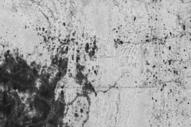 istock Concrete with Crack background. Old broken Cement Floor Wall. Chapped stone asphalt surface texture. Shades Gray color for copyspace.. 1313976028