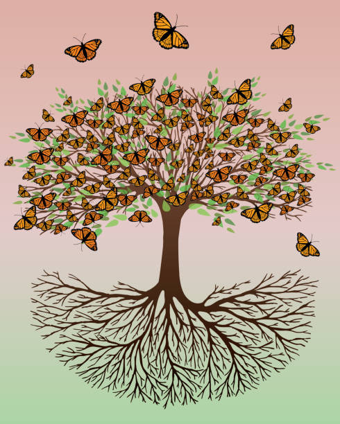 Tree of life butterfly version A tree of life with orange Monarch butterflies sitting on the branches and flying around the tree. The background is a green orange gradient tree of life stock illustrations
