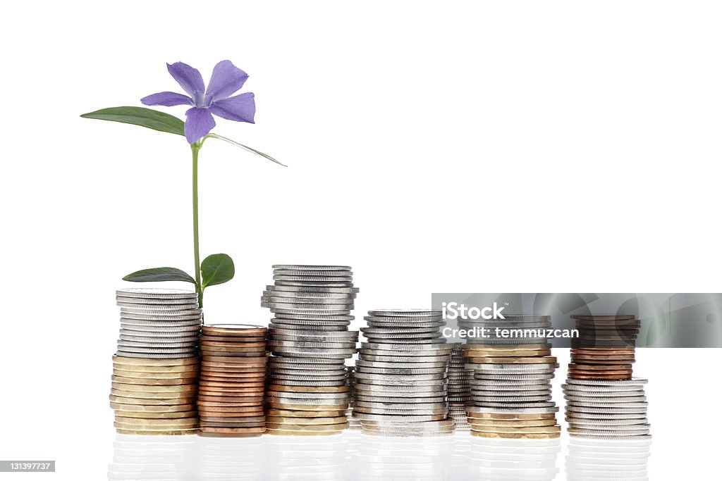 Монеты и цветок - Стоковые фото Канадская монета роялти-фри