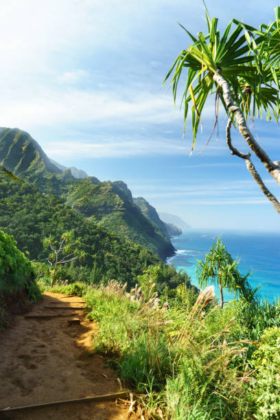 istock Napali Coast Kauai 1313977851