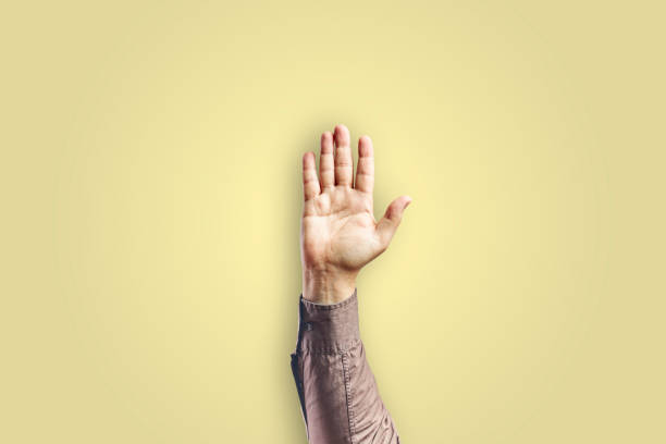istock Man arm gesturing with open hand isolated on yellow background 1313980677
