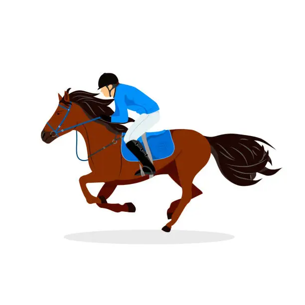 Vector illustration of Horse with rider. Jockey on horse. Horse riding. Equestrian Sport. Isolated Vector Illustration