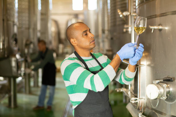 istock Hispanic winemaker checking quality of wine at winery 1313981816