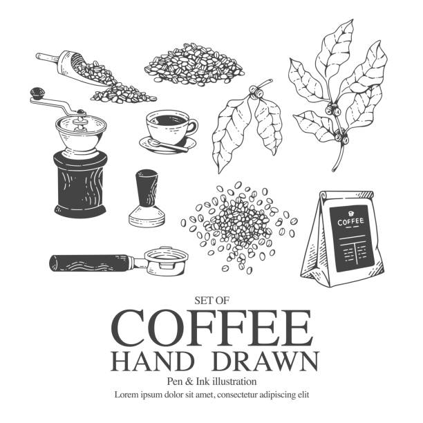 ilustraciones, imágenes clip art, dibujos animados e iconos de stock de lápiz de ilustración de café y estilo de tinta para medios digitales o de impresión. - coffee plant