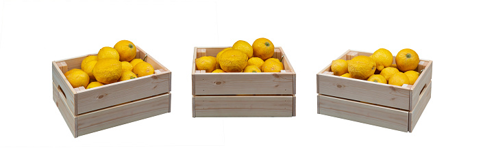 organic lemons in wooden crates on isolated background, front view.