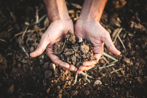 Farmer's hands holding dry soil. Count your wealth by the richness of your soil. Agriculture / environmental concept.